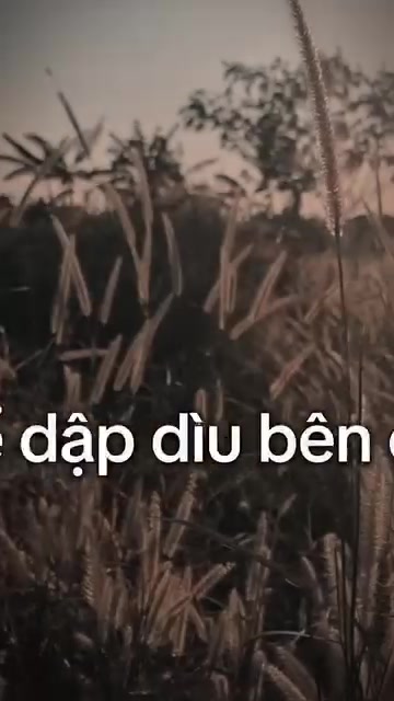 @Phạm Văn Thảo