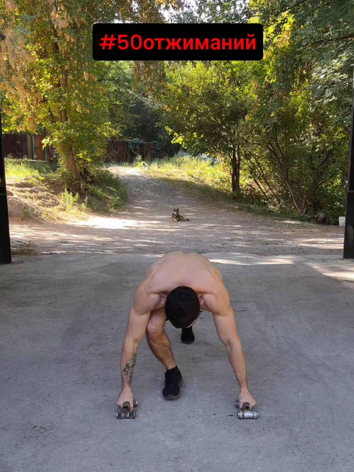 @AbekeGym