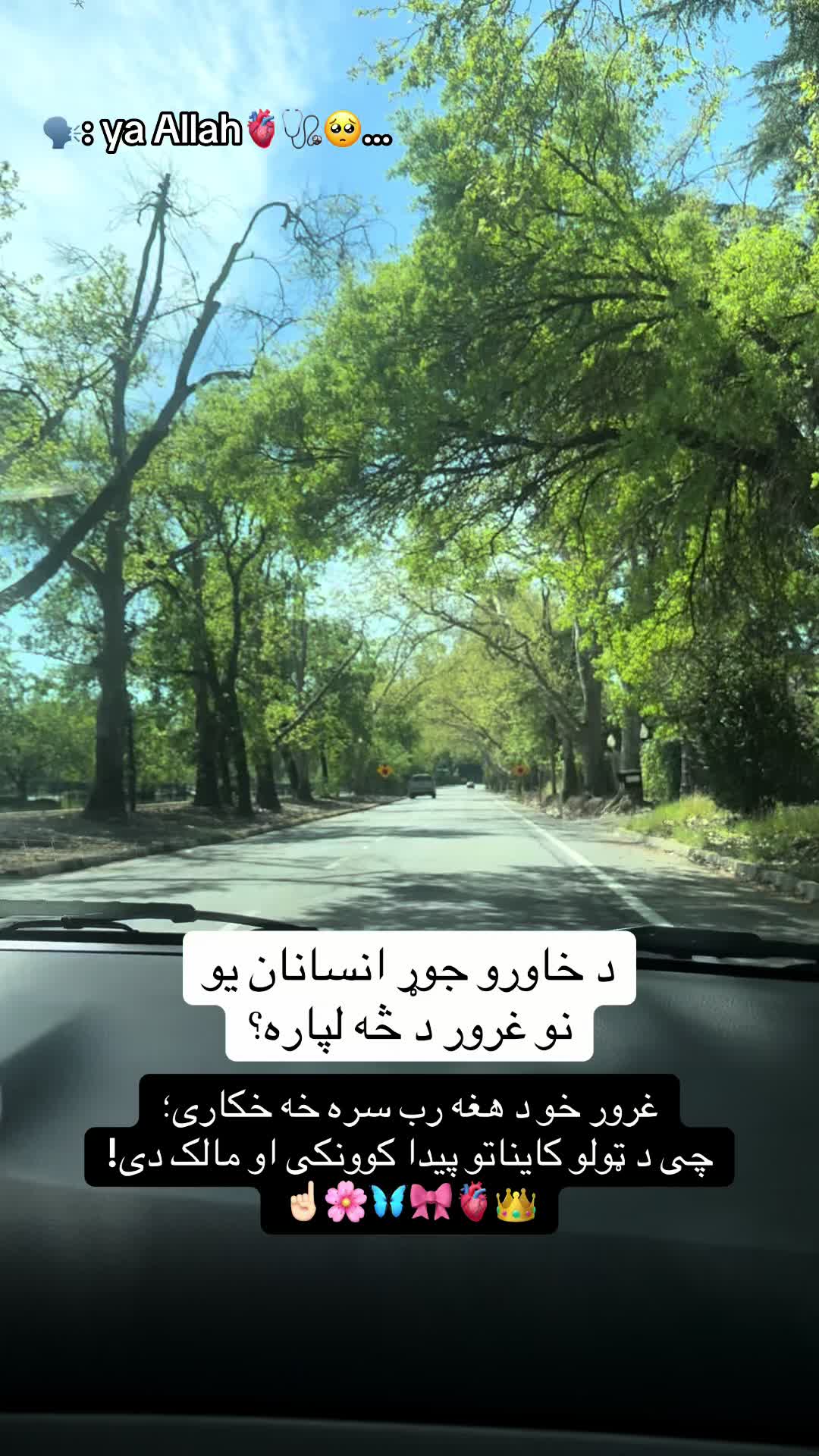 @👑🩺~Jannat~🤍🦋🇺🇸