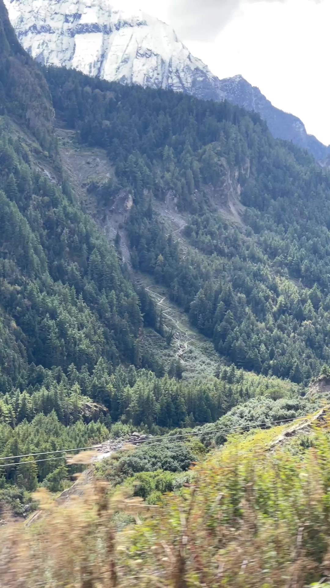 @थिँयाल 🌿