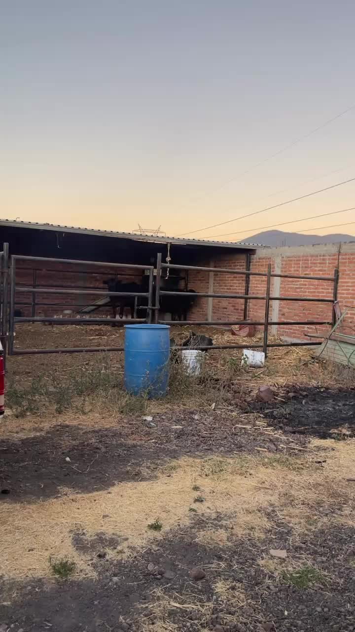 @Pablo Do&ntilde;ate 🤠