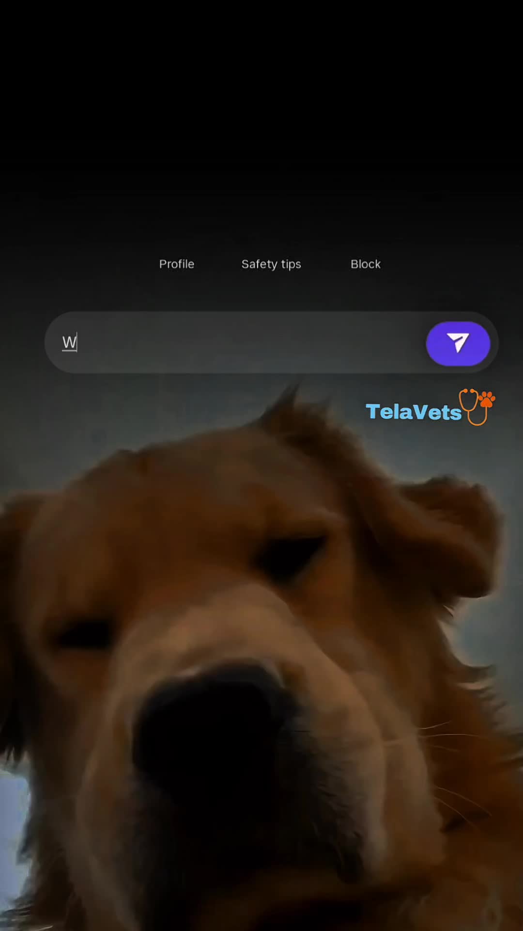@TelaVets