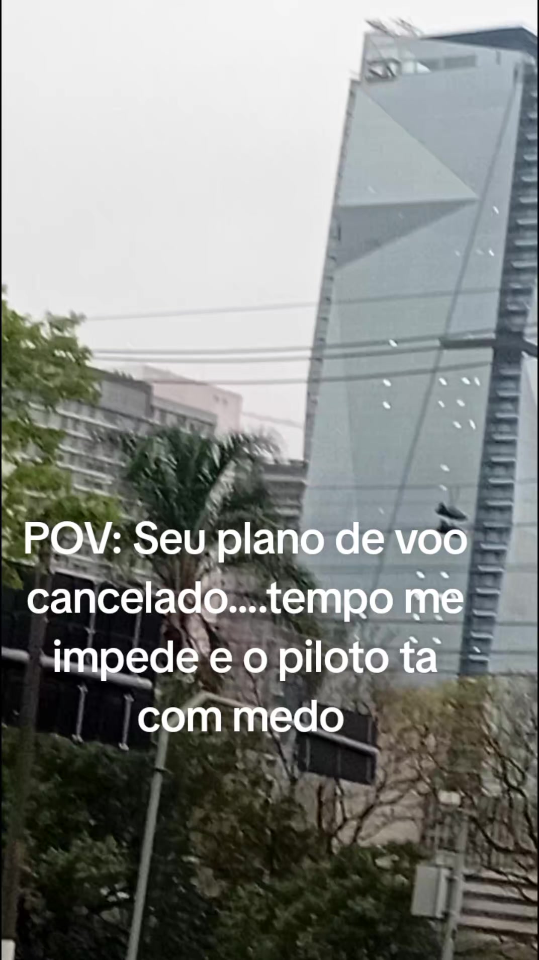 @mary moura
