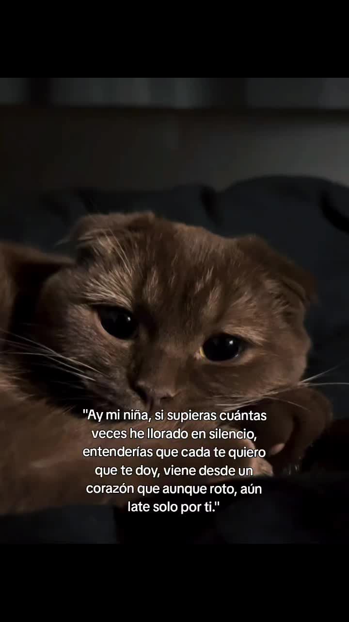 @crissparker
