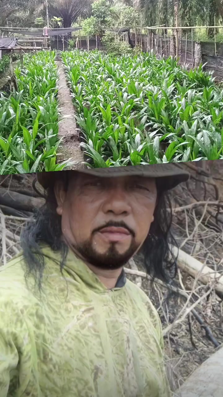 @boss kala hitam nama pasukan