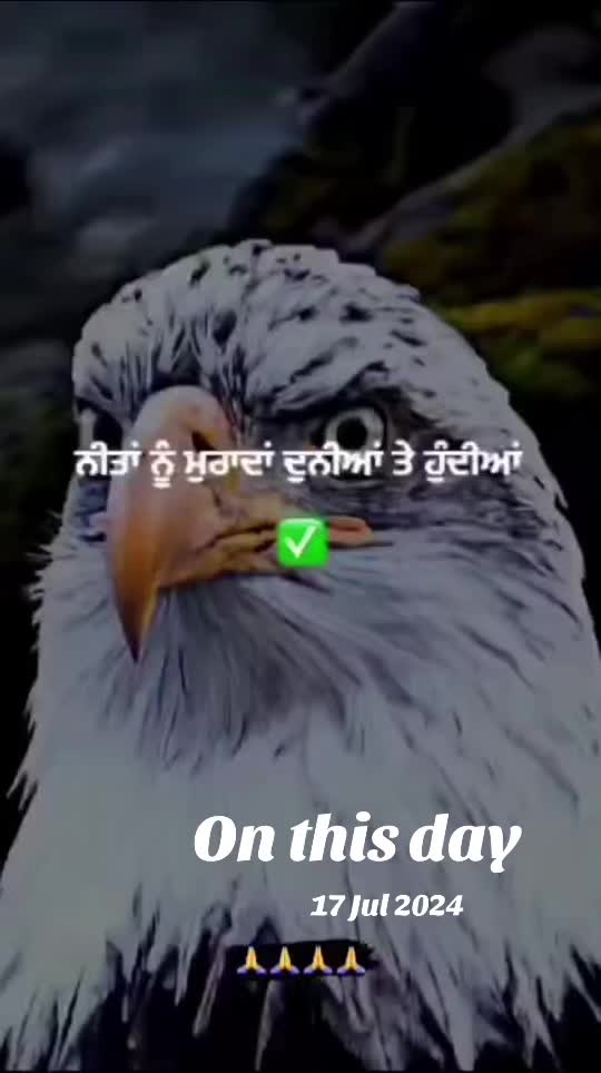 @Kaur Manroop