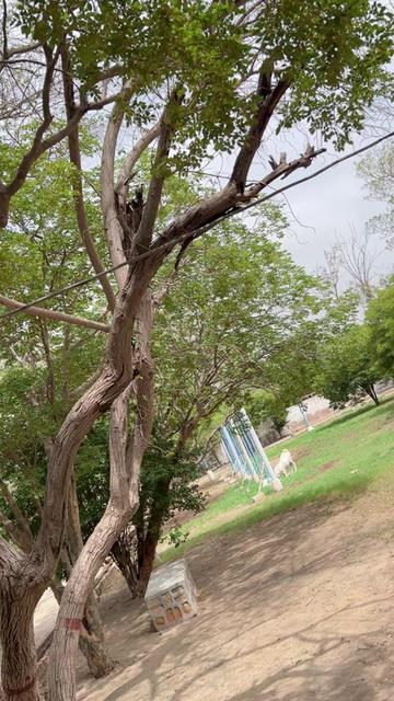 @Sharif Khan Sharif Khan