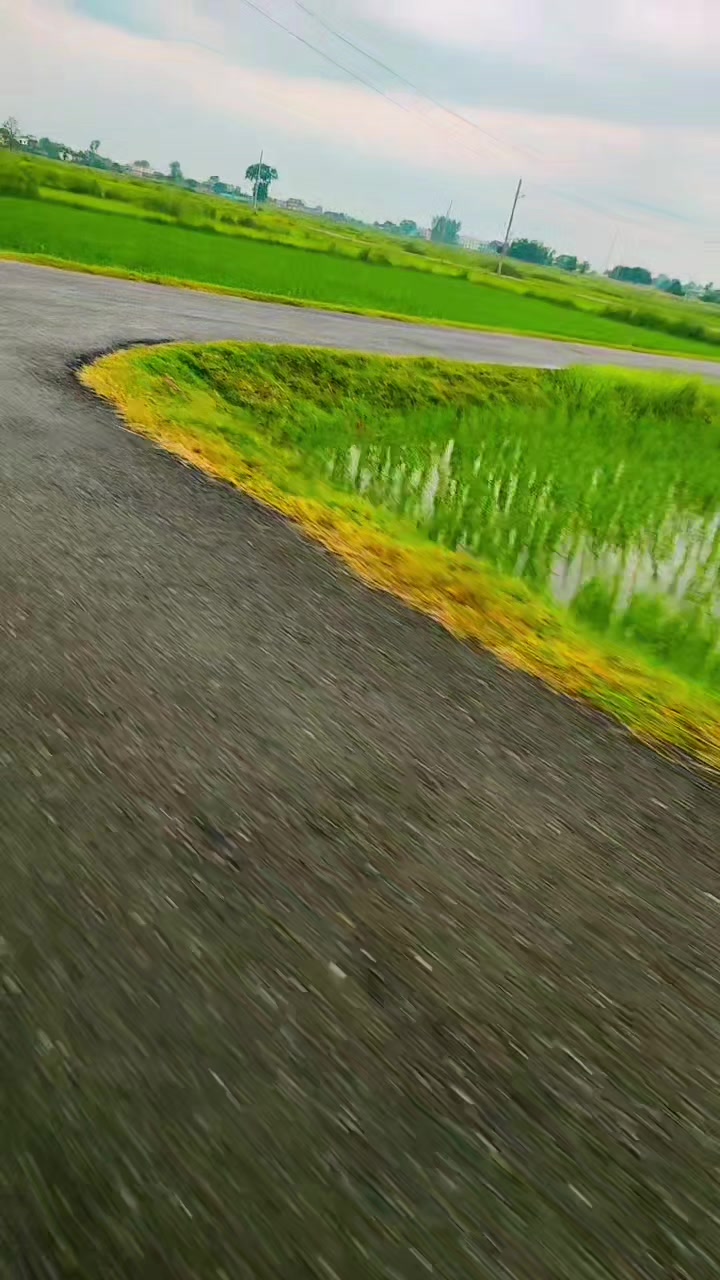 @अजय यादव
