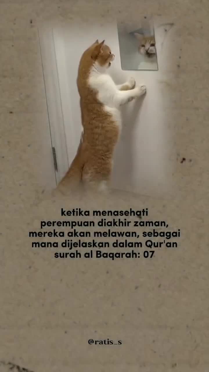 @ratsss
