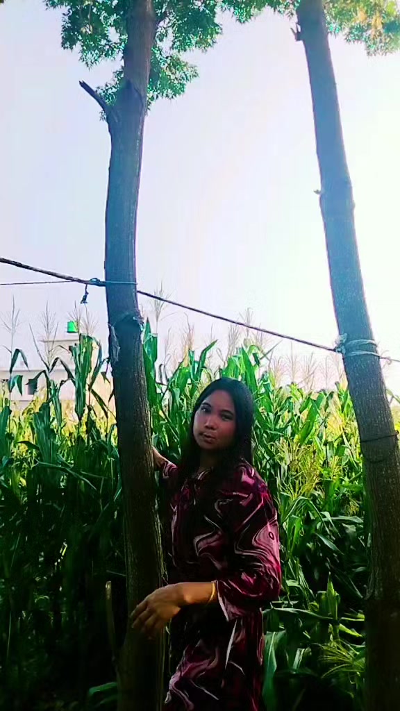 @@Taramahato942