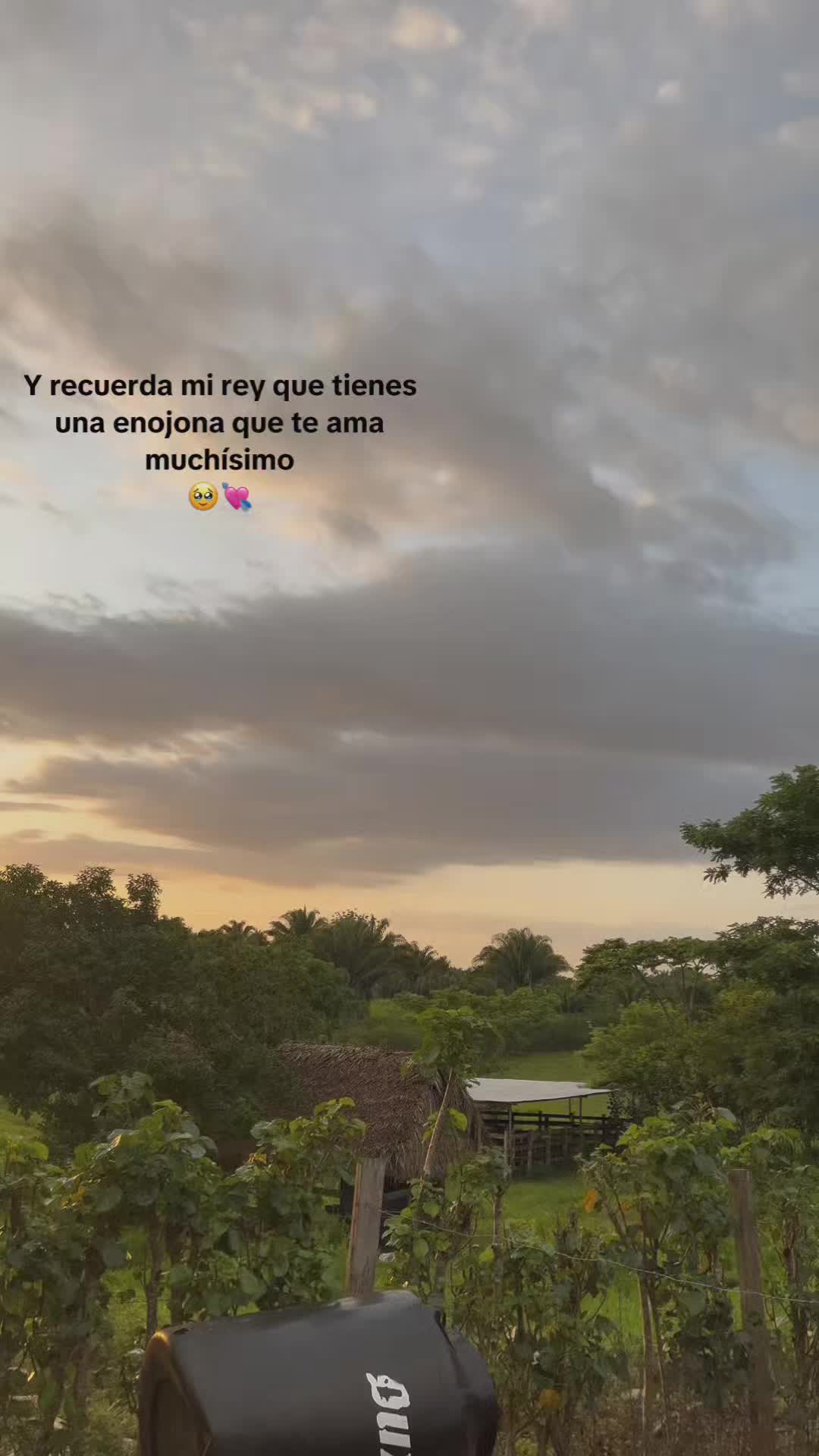 @Lorena 🥷🖤