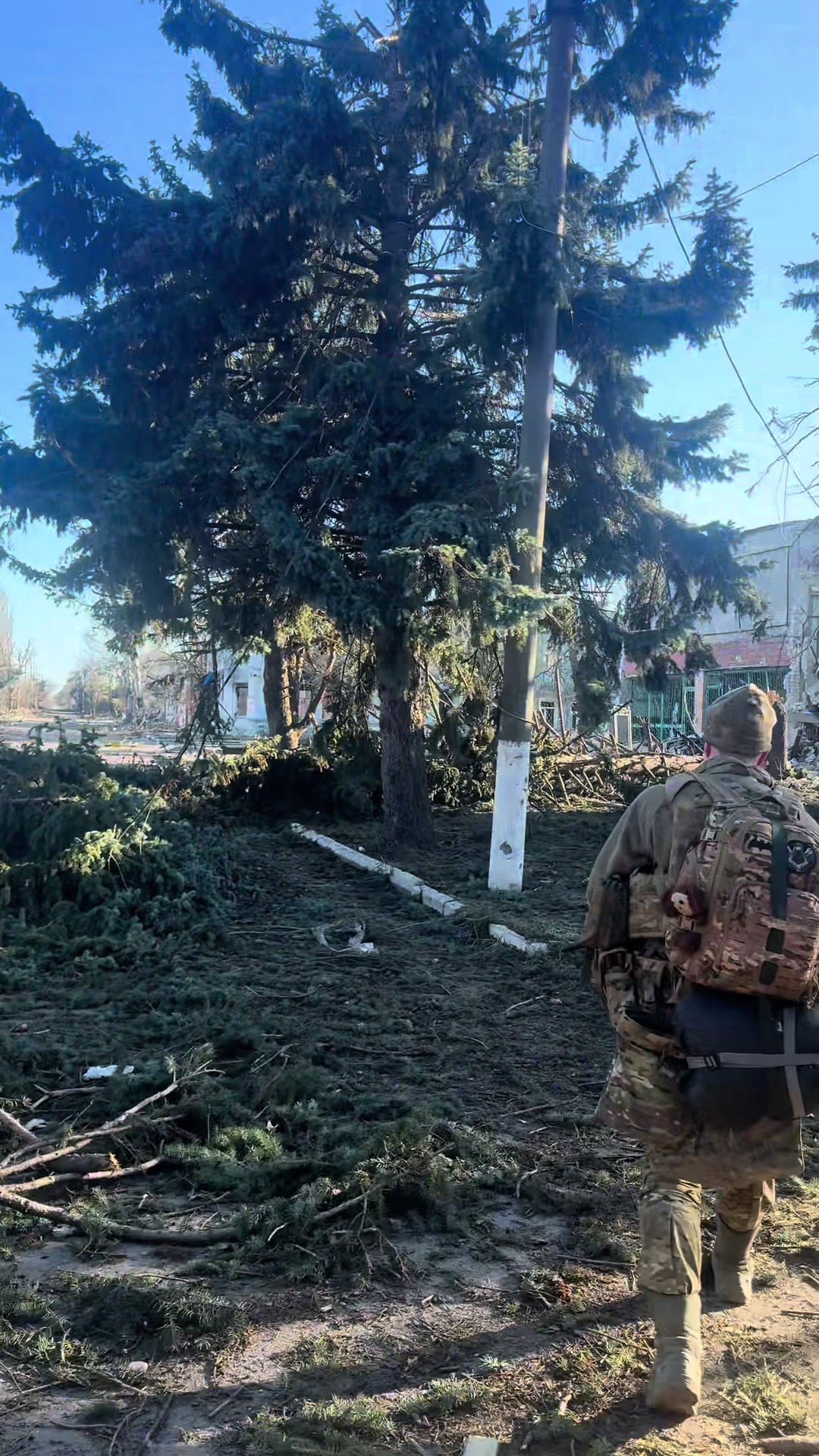 @Кто волк
