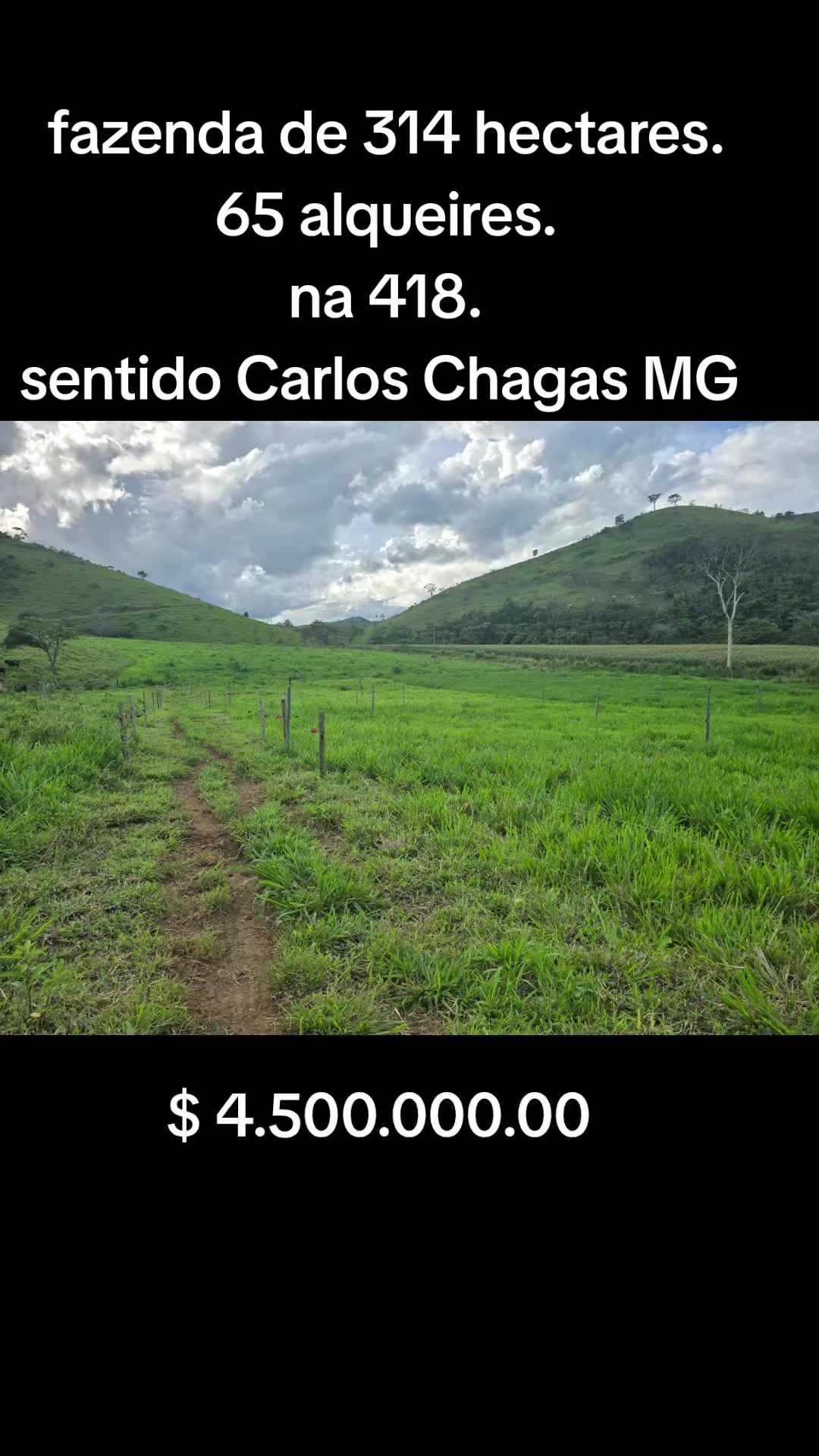 @O REI DAS FAZENDAS.