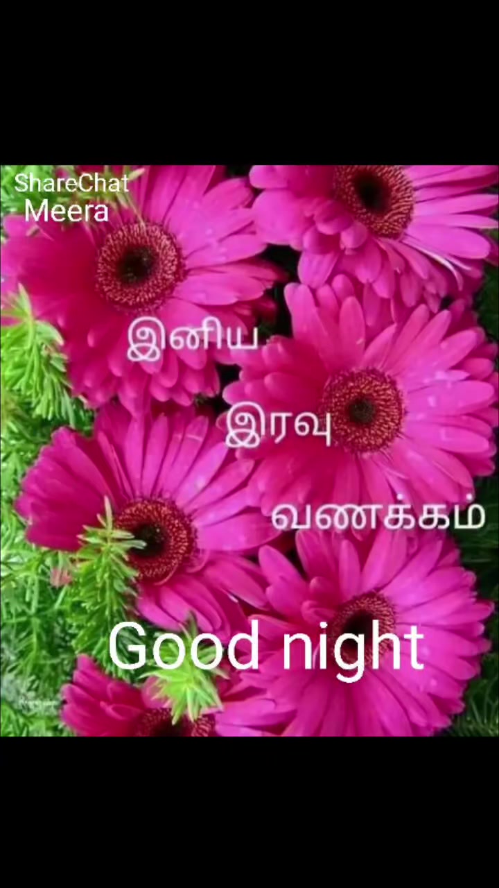 @Sai Meena