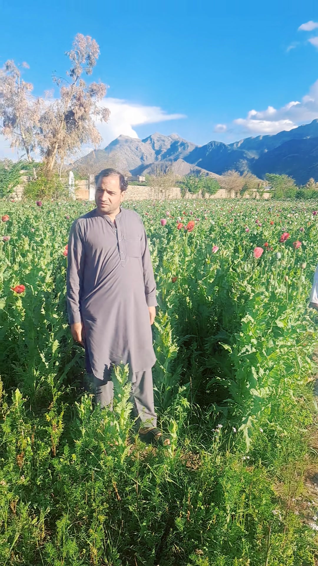 @fazal ghani