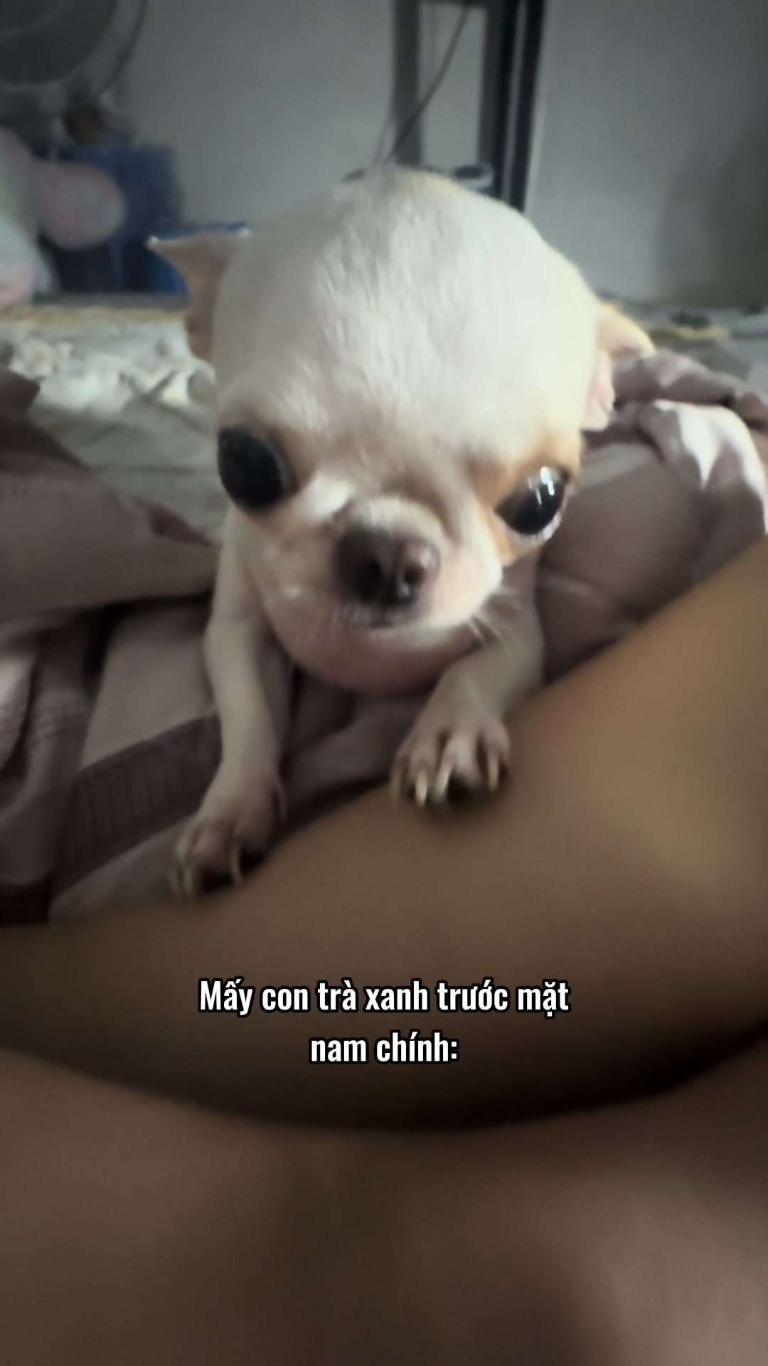 @L&uacute;n L&egrave;👽