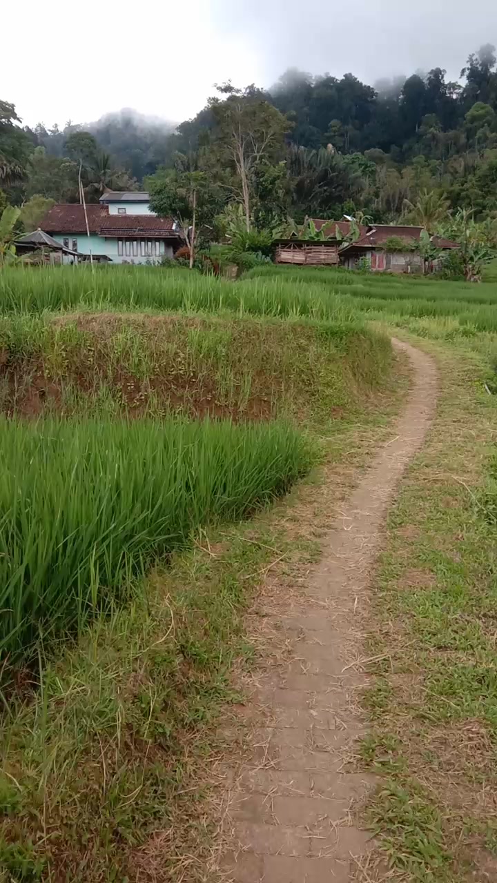 @th enti k