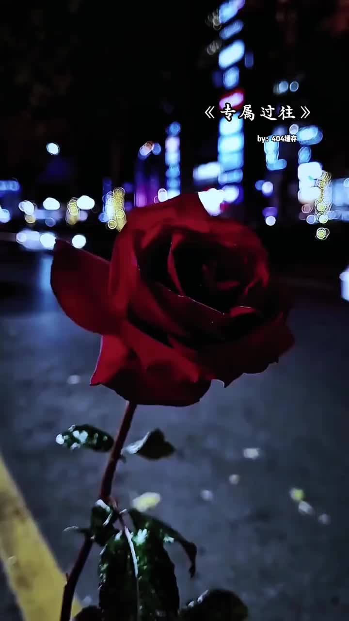 @ᰔᩚ᭄ℛ心已打烊꧔ꦿᩚ࿐🕊