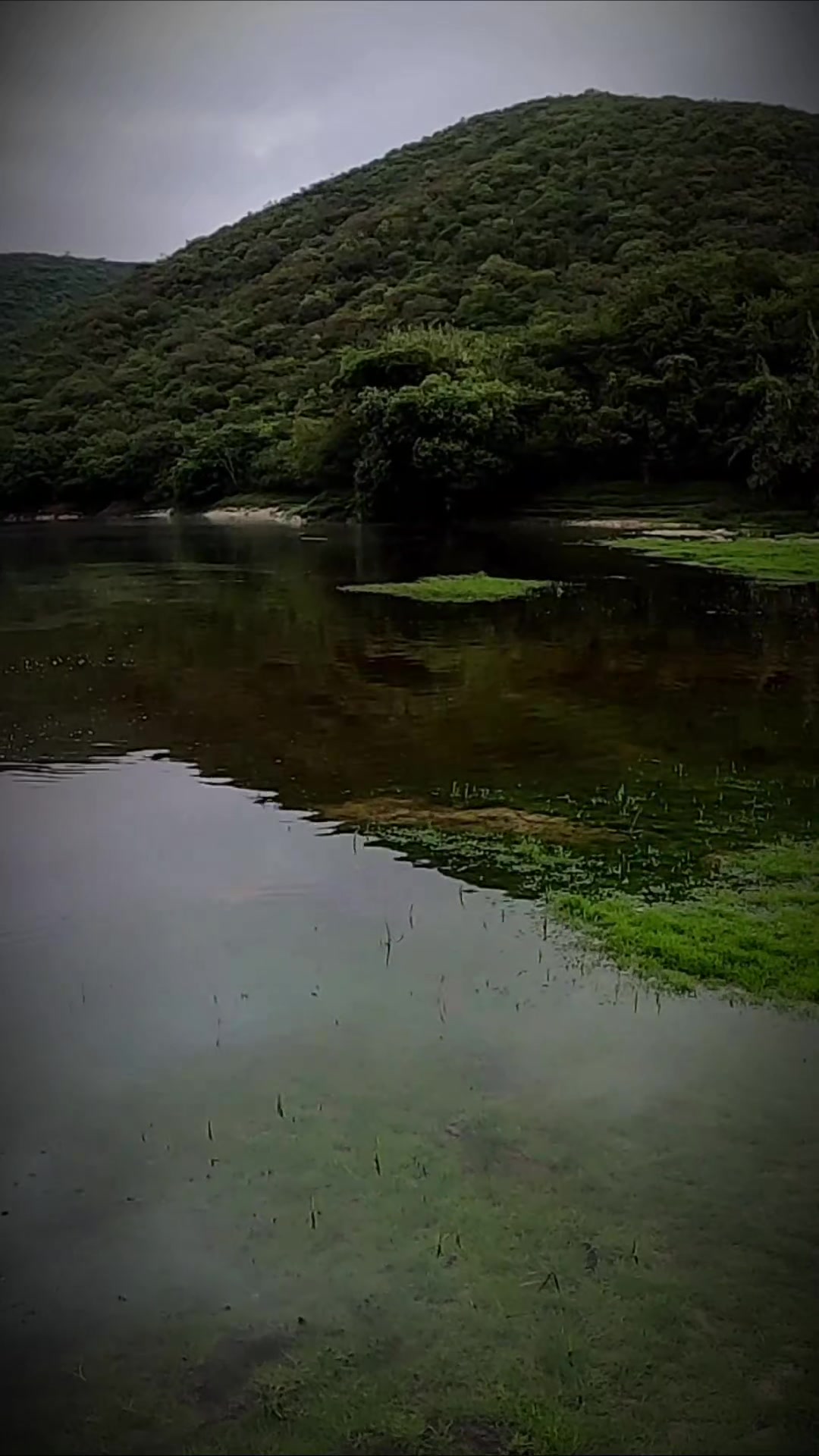 @soy 🐟SALADO🎣
