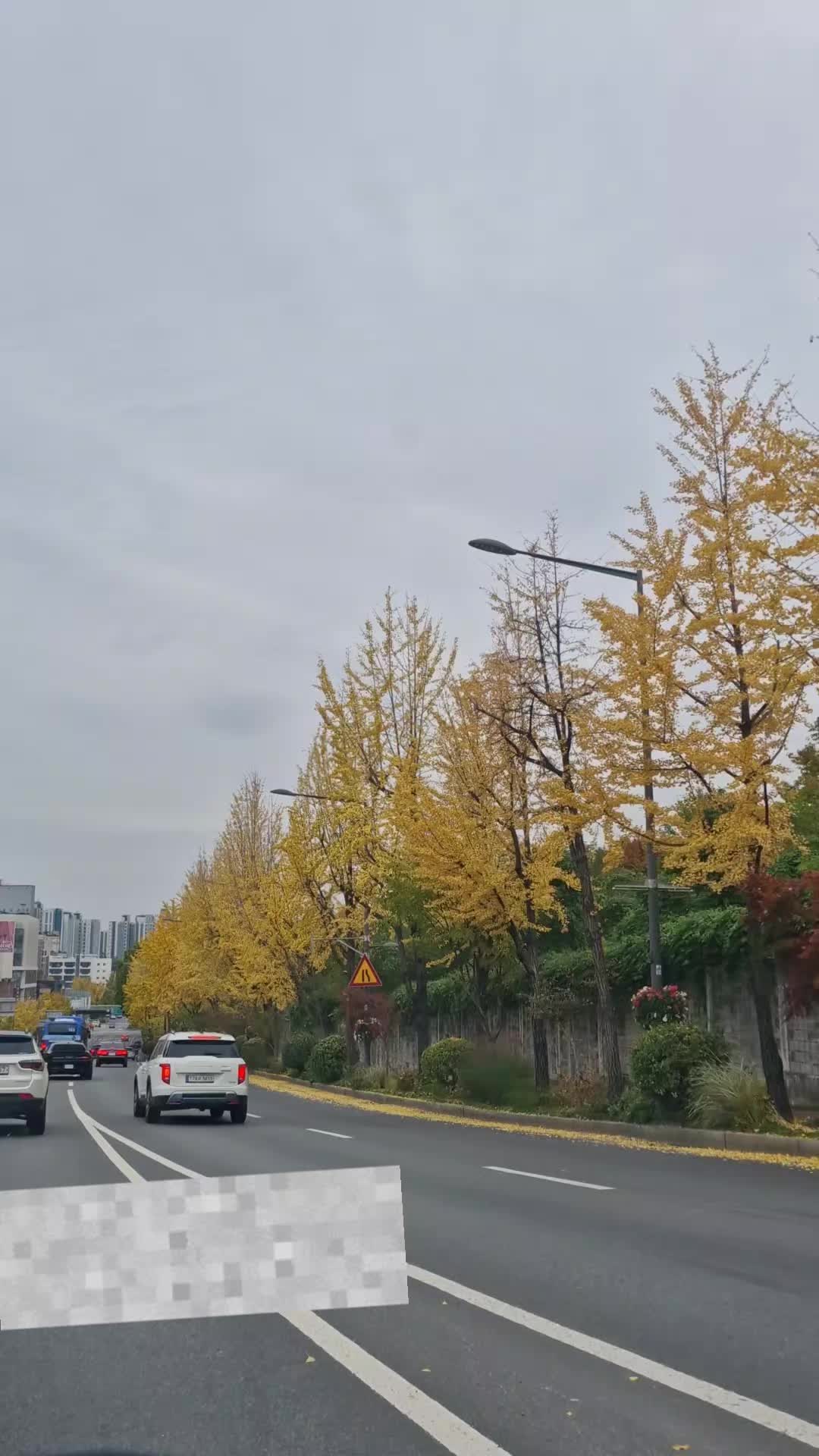 @S🇰🇷Y🇹🇭เซยอง