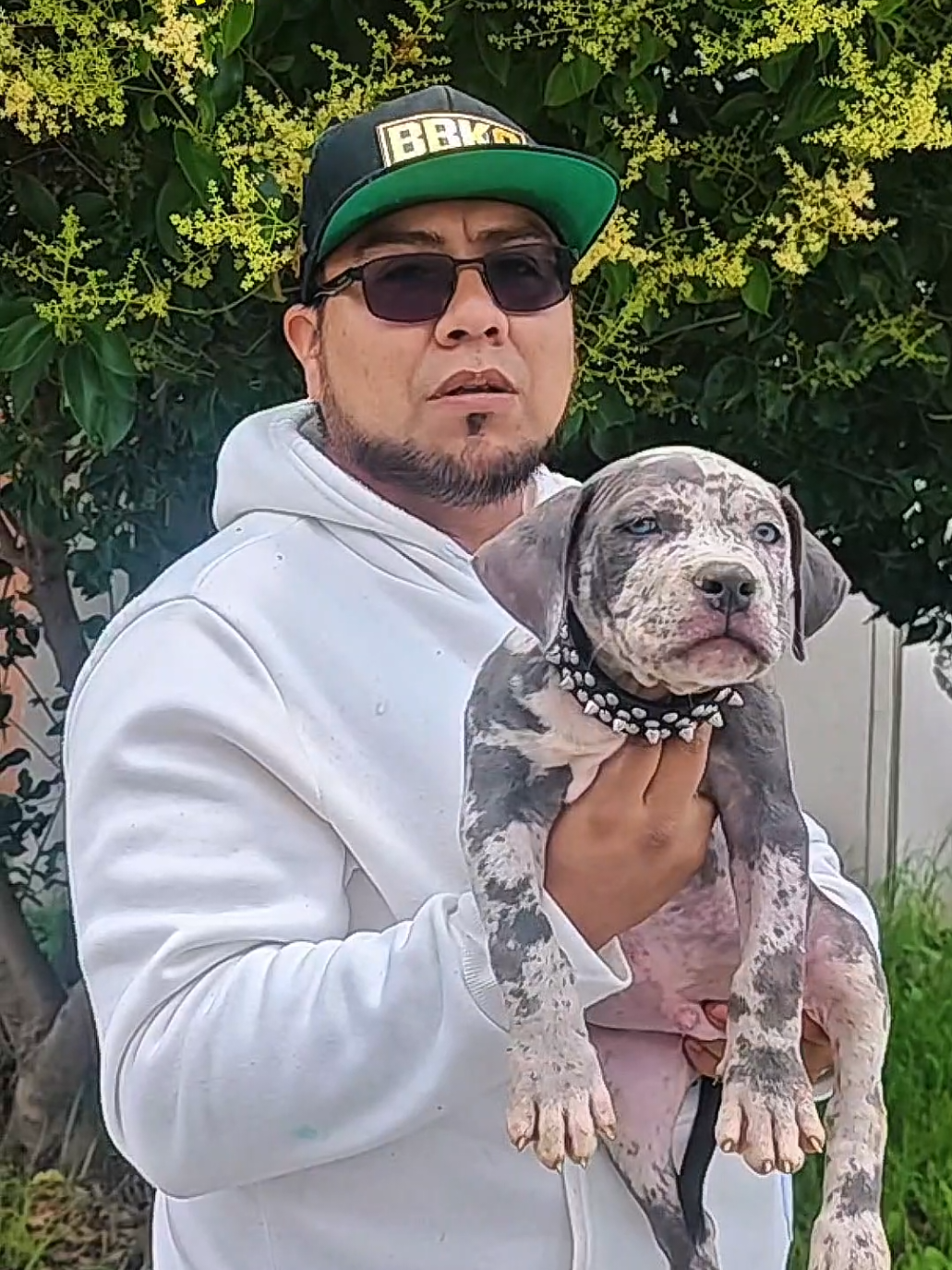 @GALVAN BULLY KENNEL OFFICIAL