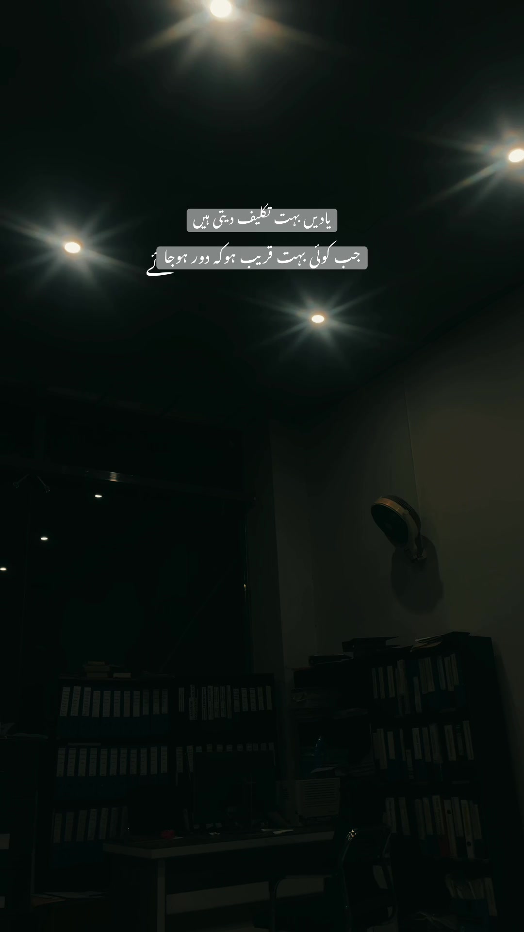 @🕊️