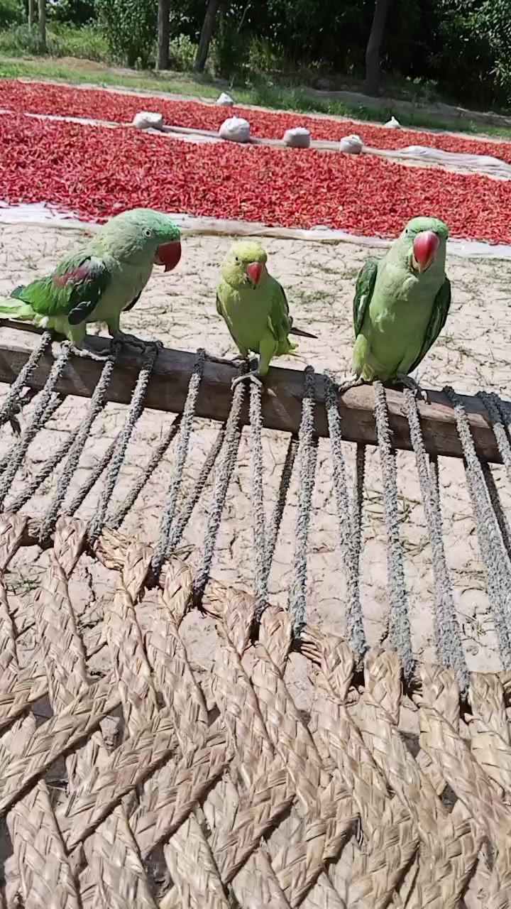 @جام نیاز