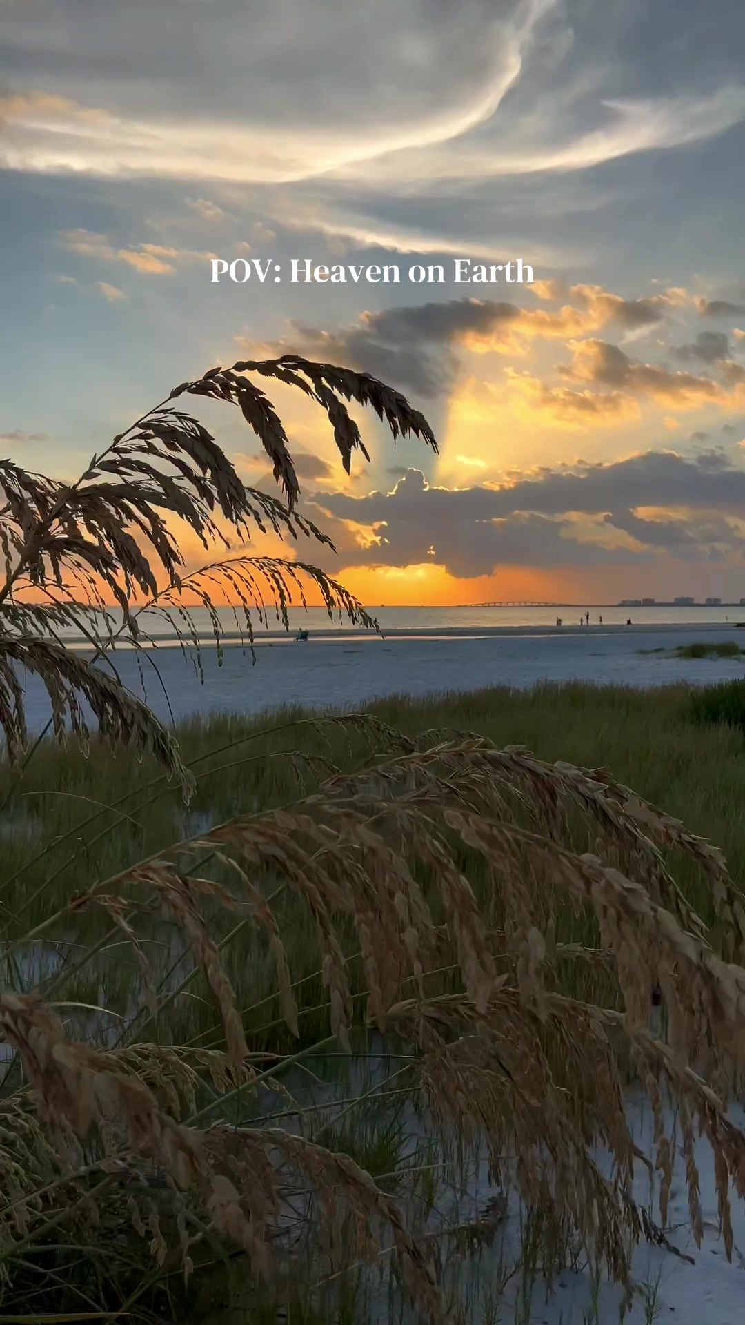 @Must See Florida