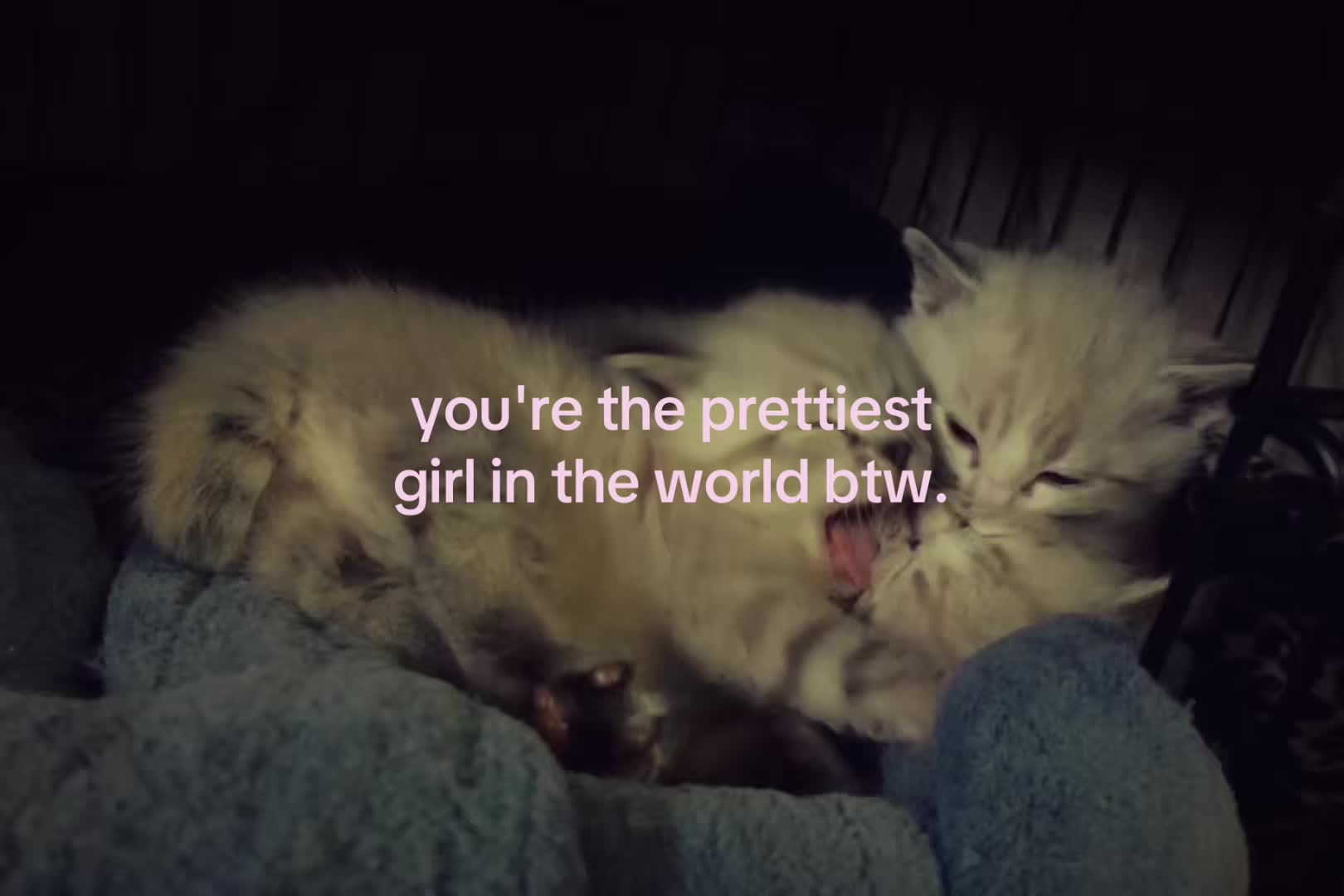 @sxalenz