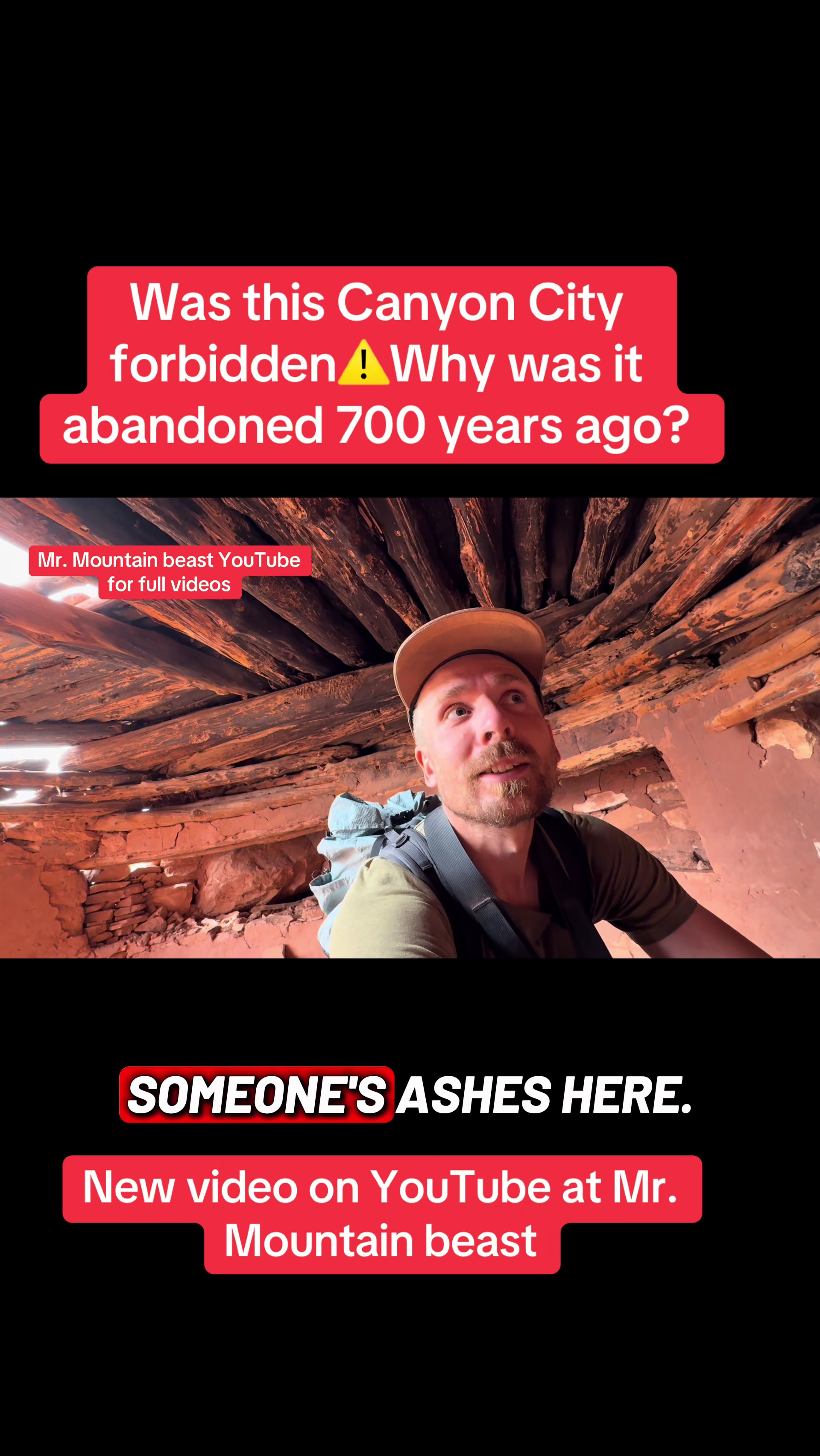 @Mr.mountainbeast