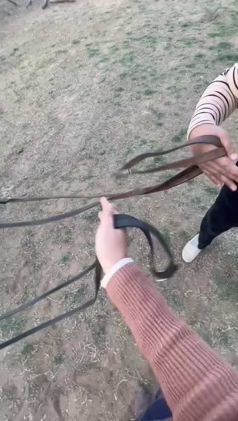 @Kiara _t