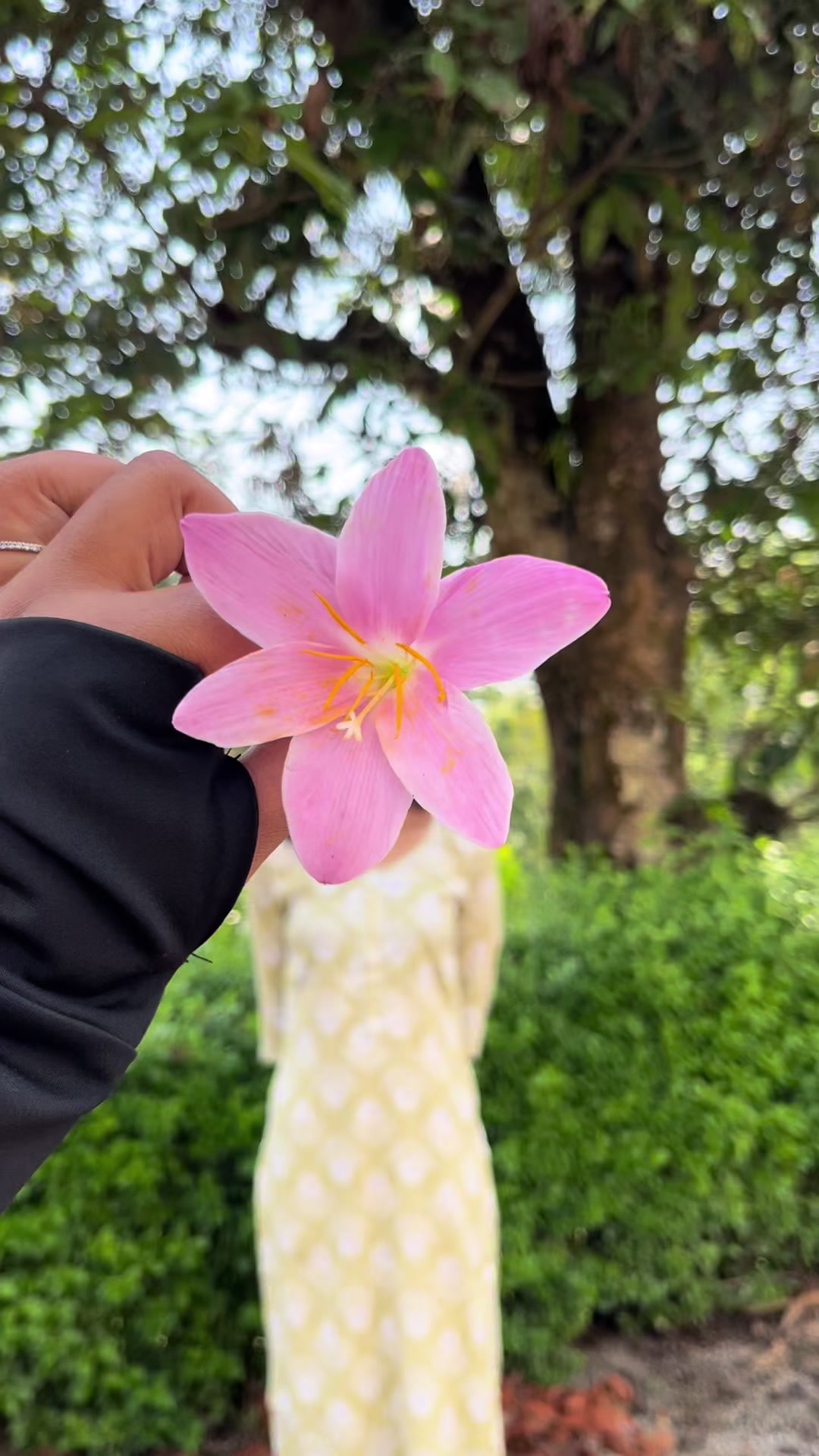 @sneha🌼