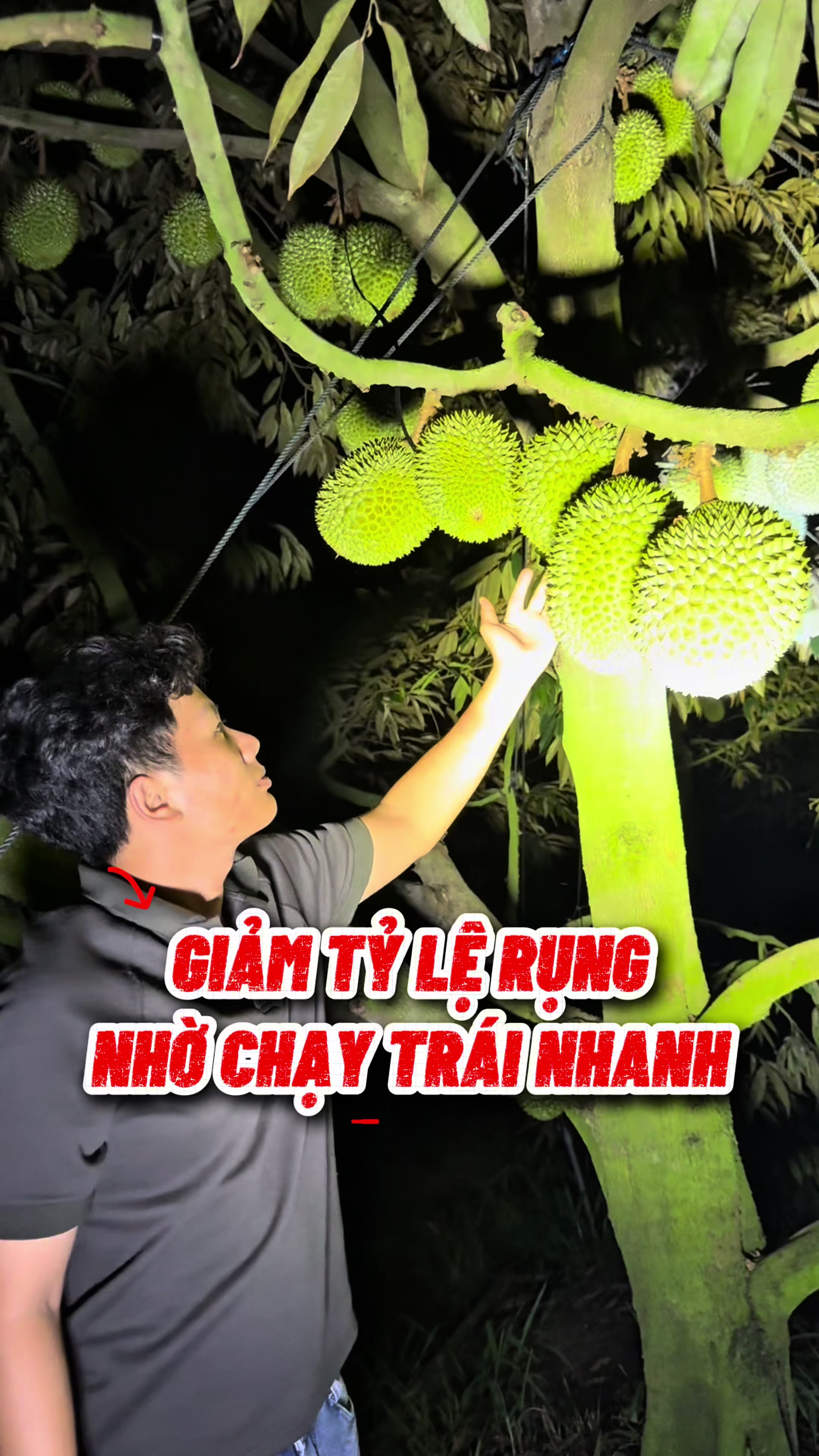 @Hưng Farm - Store