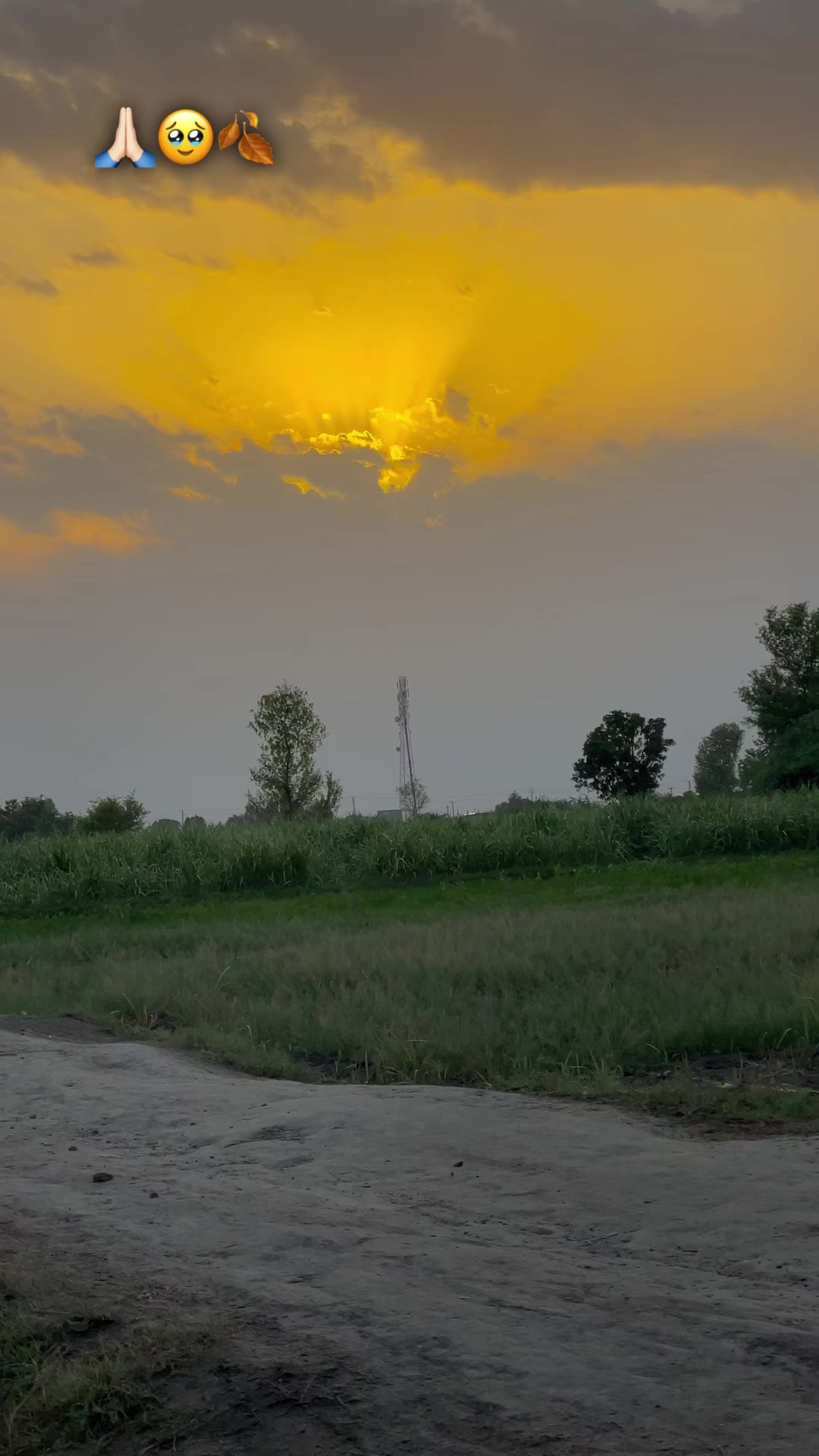 @🥀مٹی پنجاب دی🥀