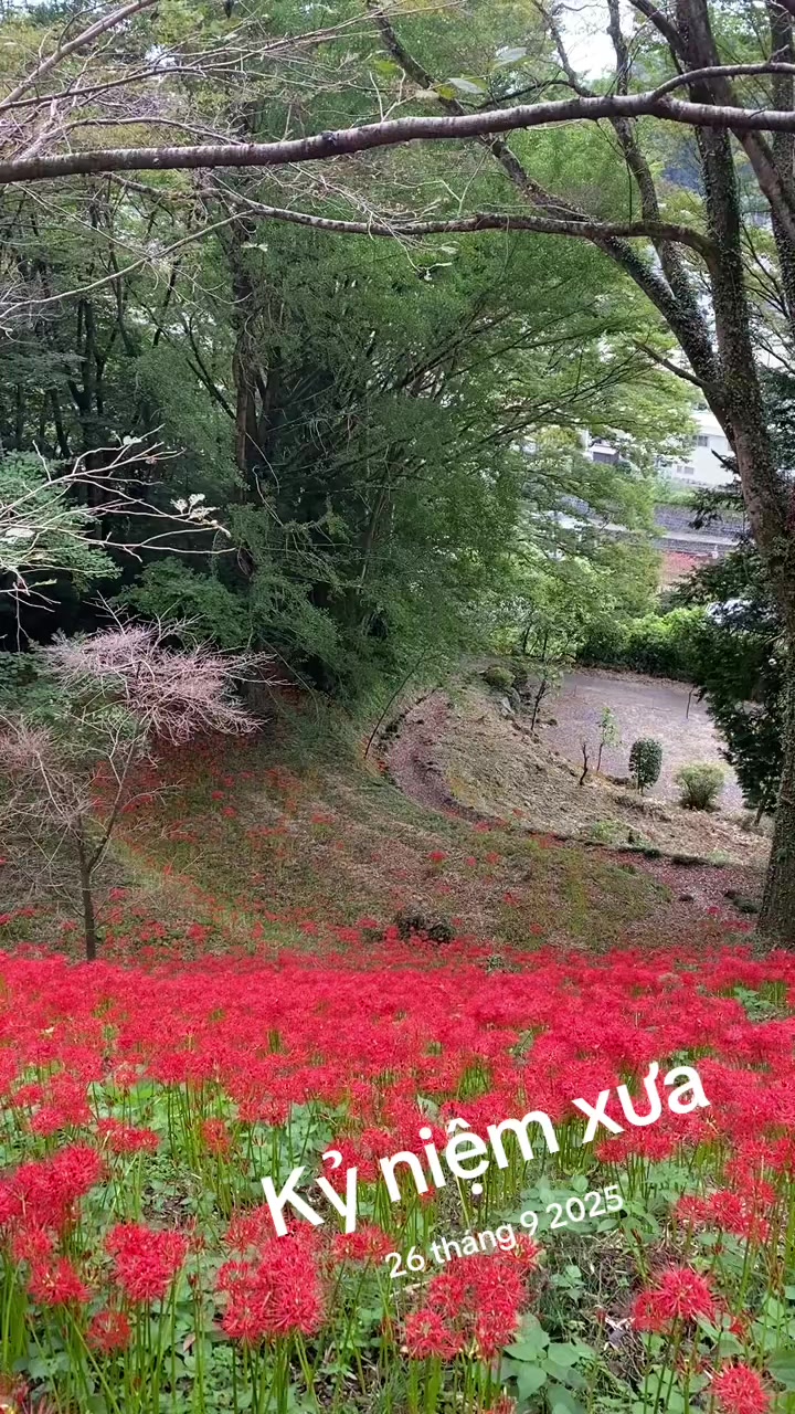 @bemayjp2