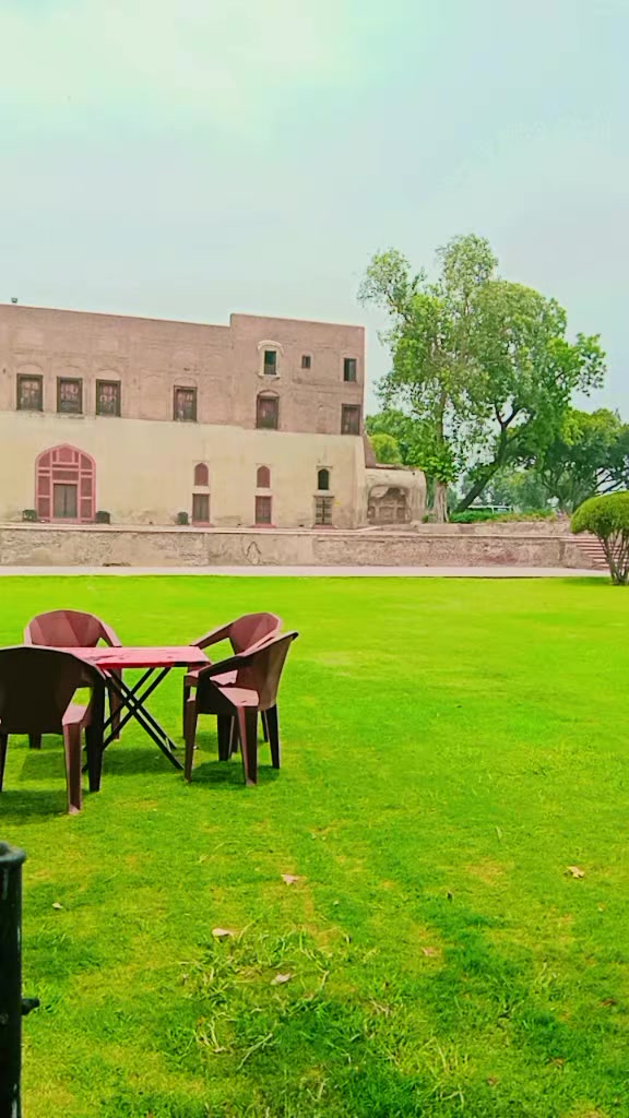 @بادشاہ لوگ