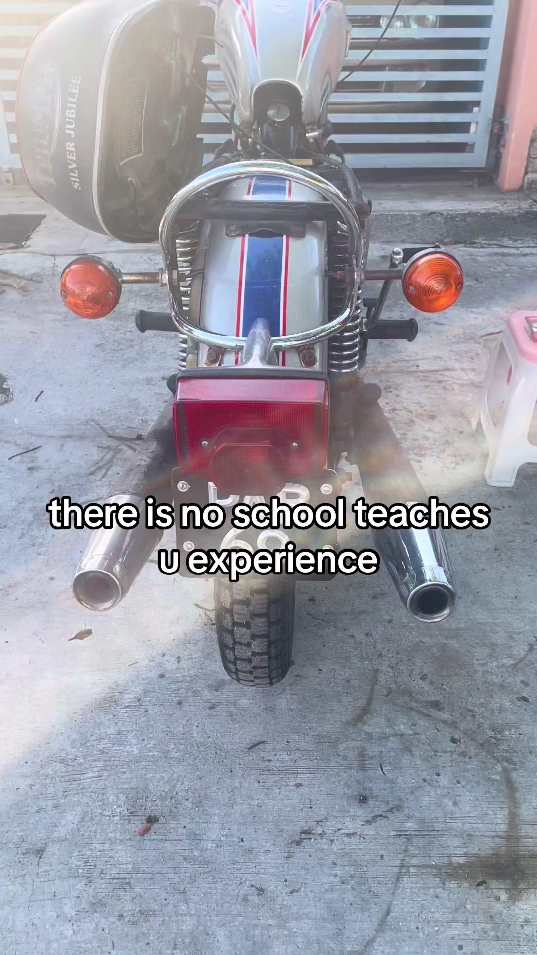 @zam rottenmoto