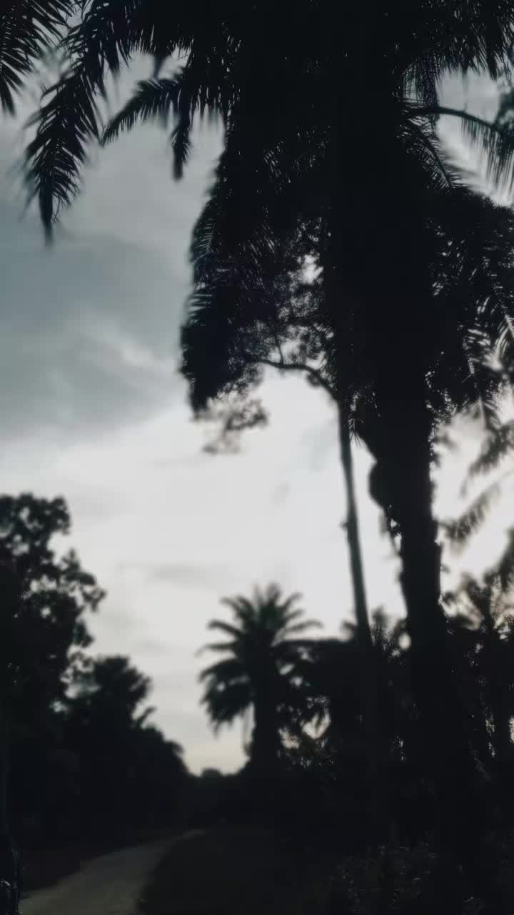 @hy
