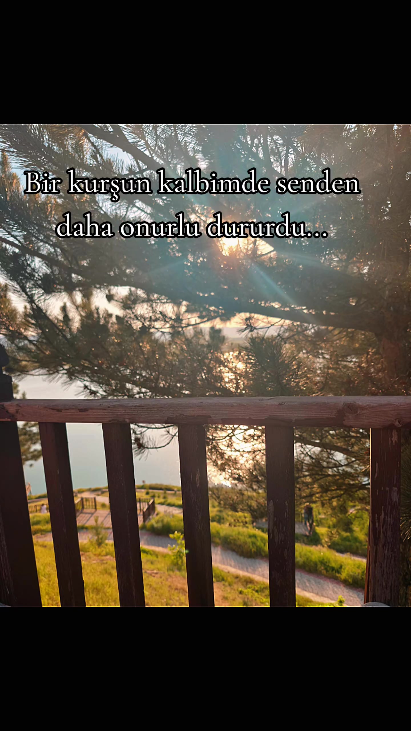 @ミ★ Ne&Ccedil;E🍁 ZOZAN ★彡