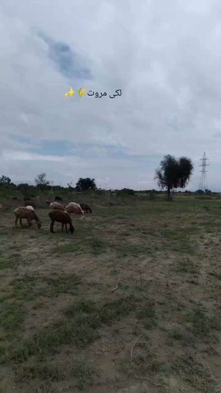 @KP_Police18