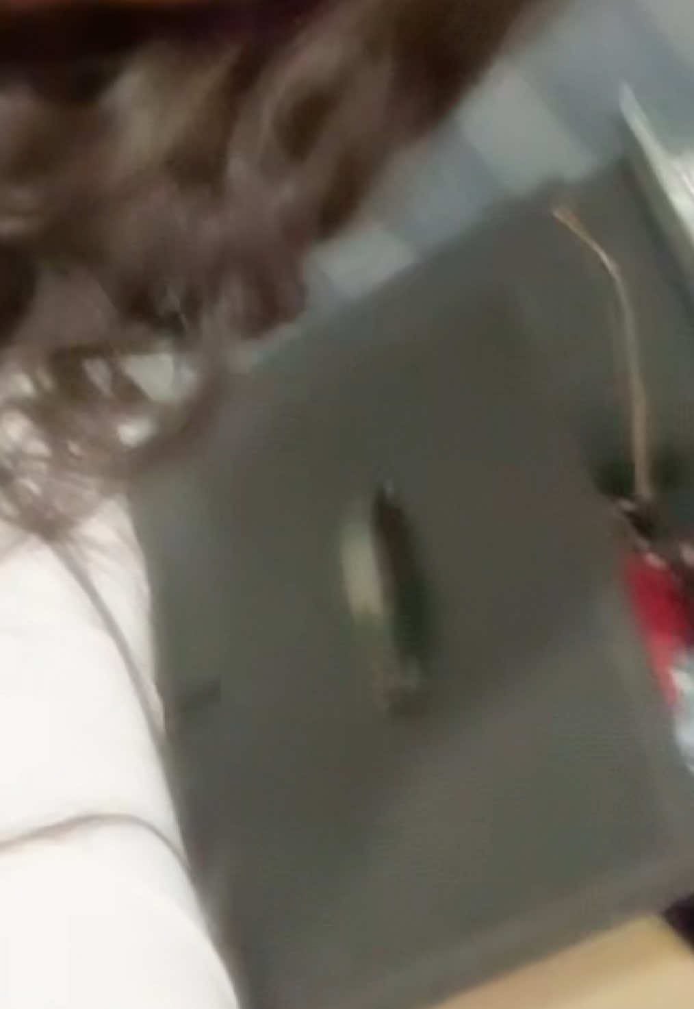 @mahi_.dhami