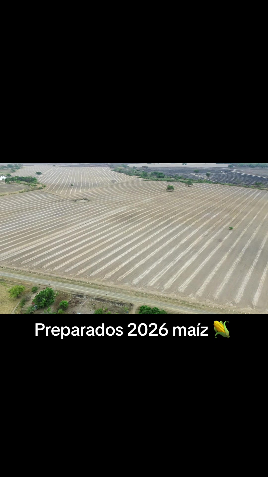 @Grupo MH