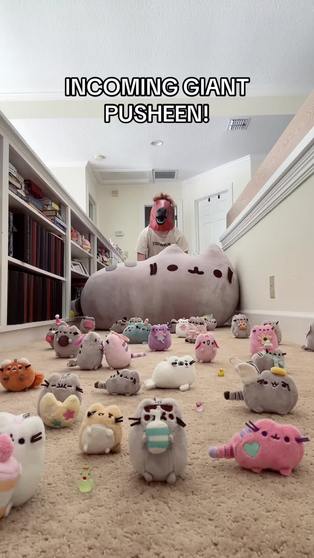 @Kendallpusheens