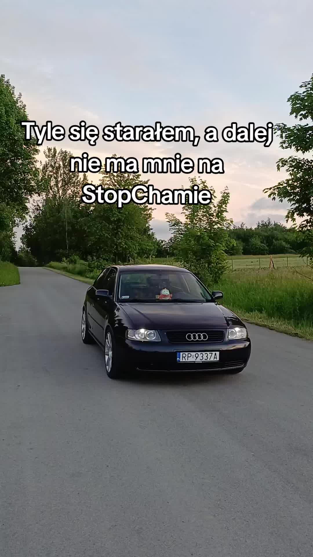 @Lysik_19