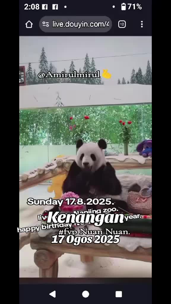 @AmirulMirul3