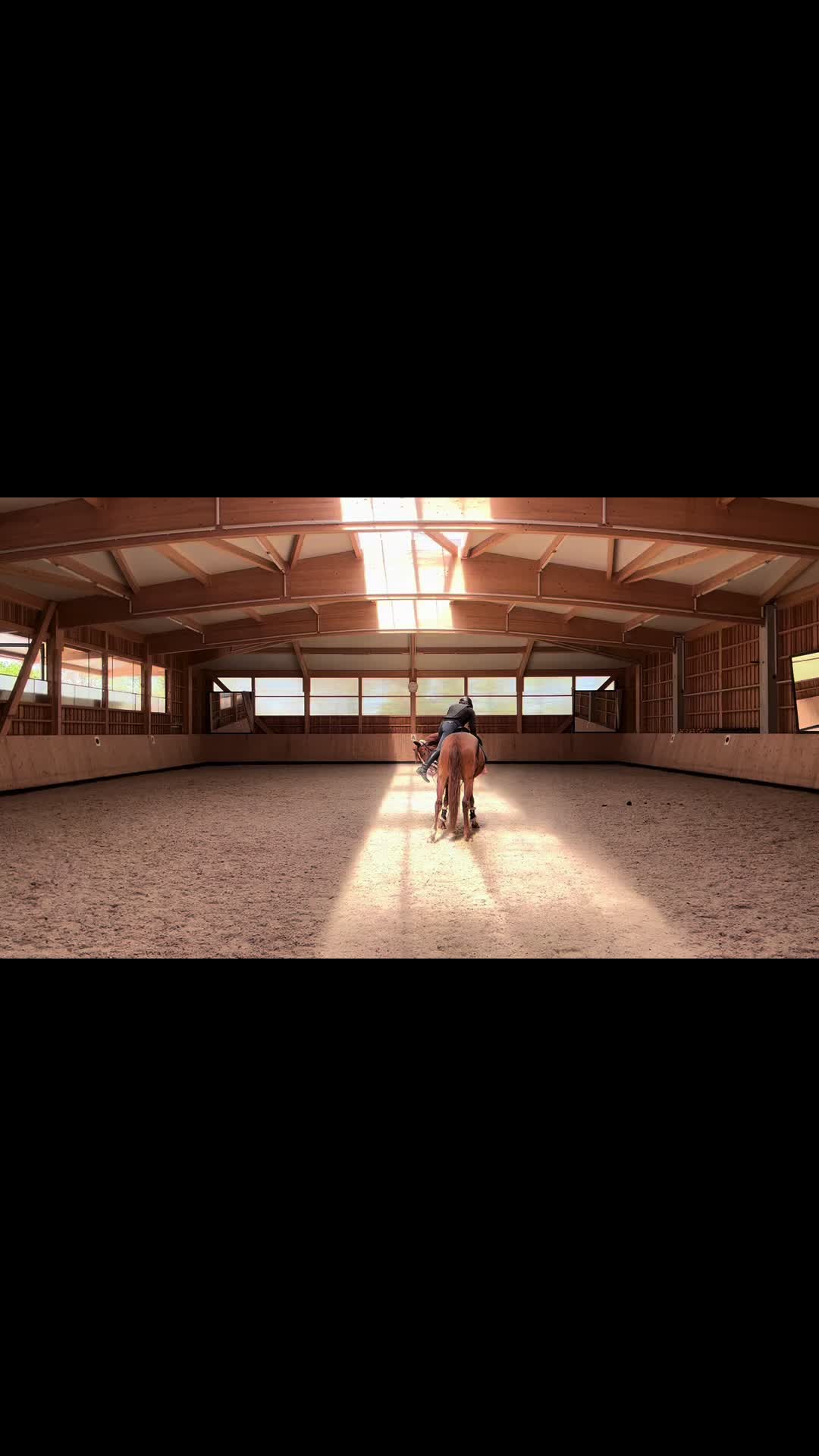 @Horses_rb_
