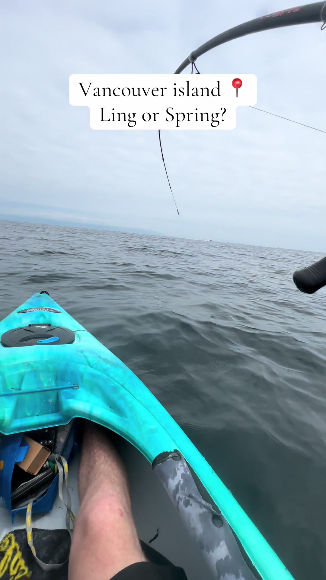 @FishingThe(250)