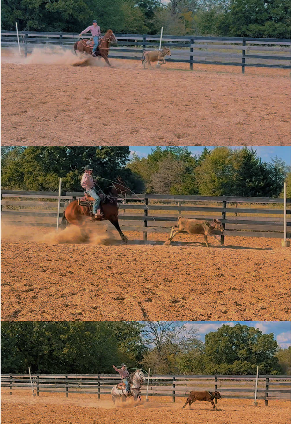 @HD Performance Horses