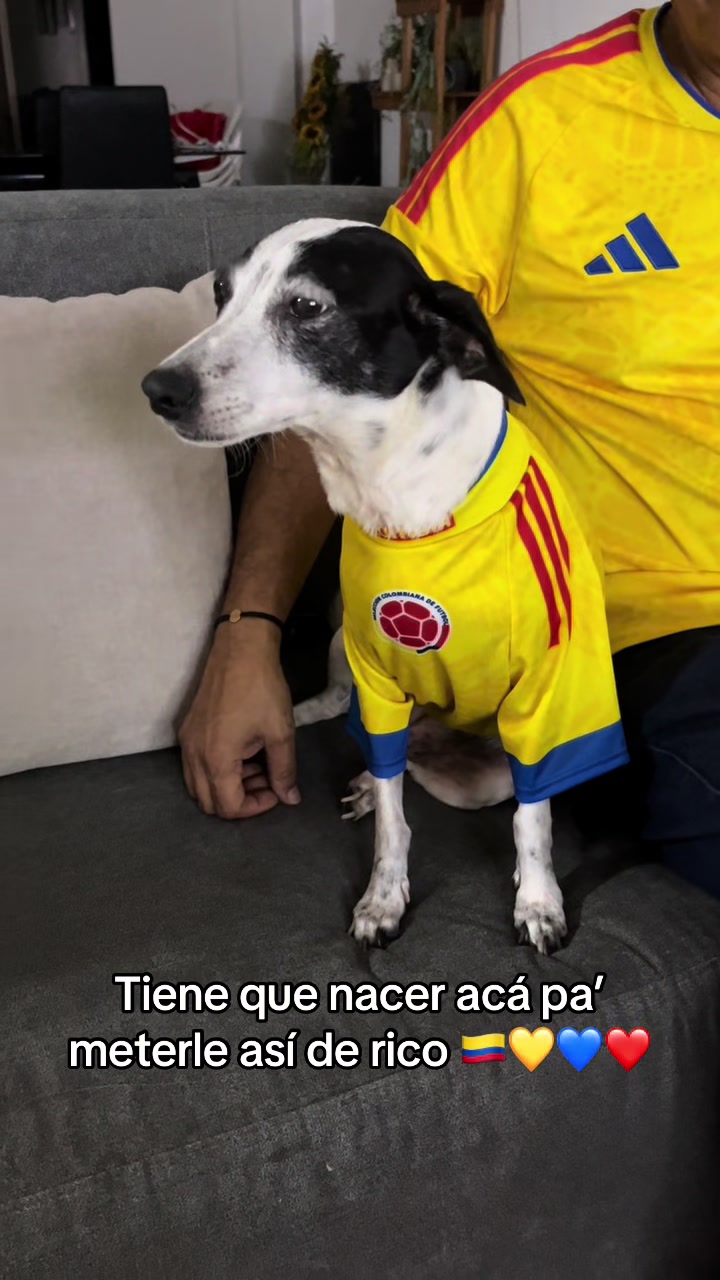 @Natalia Ramirez M