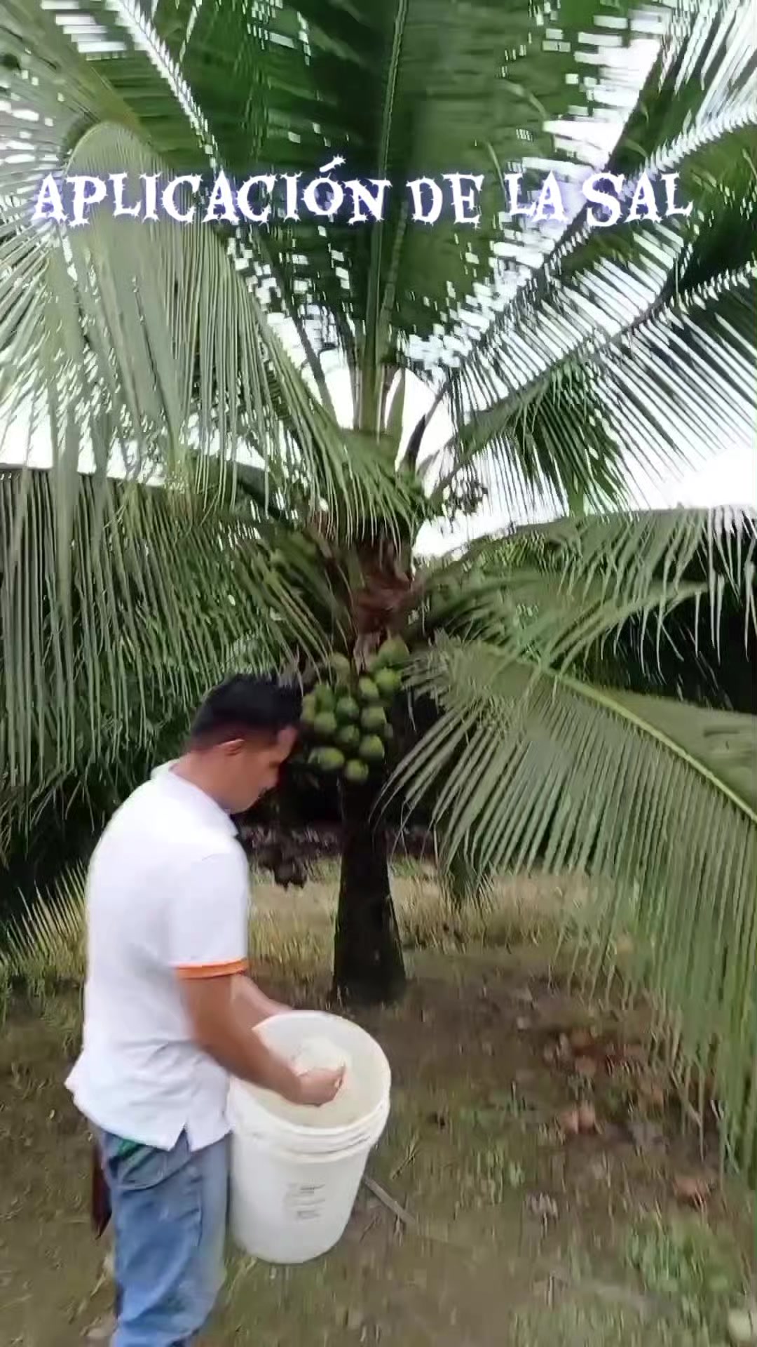 @Jairo desde el campo.